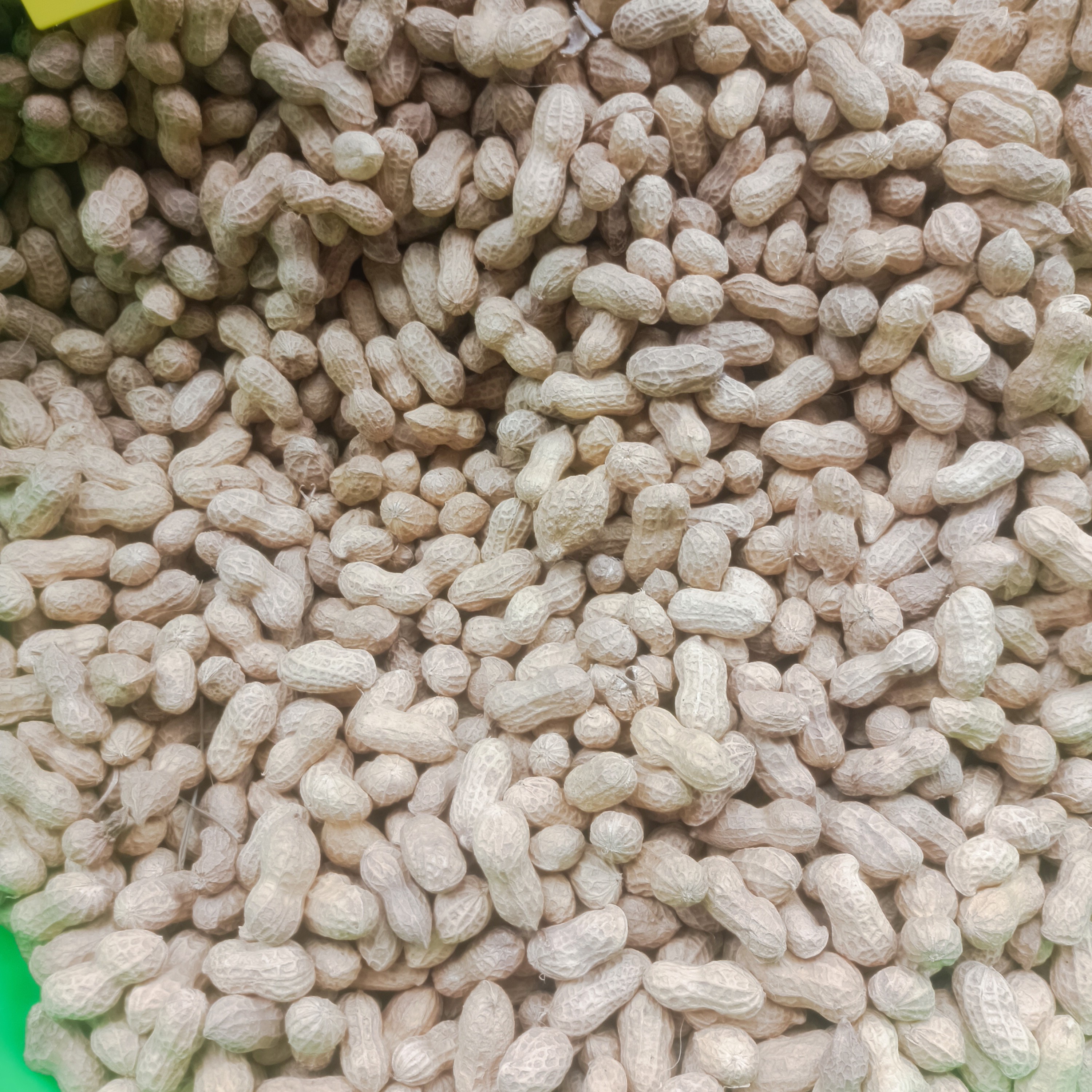 农村各类农产品现场称重