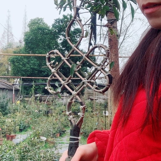 无花朵金弹子中国结