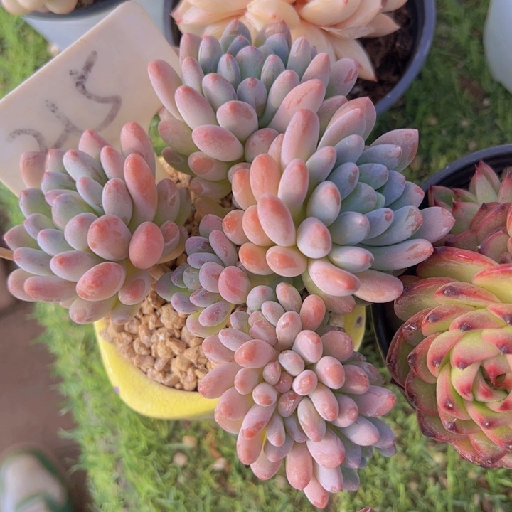 健健康康平平安安