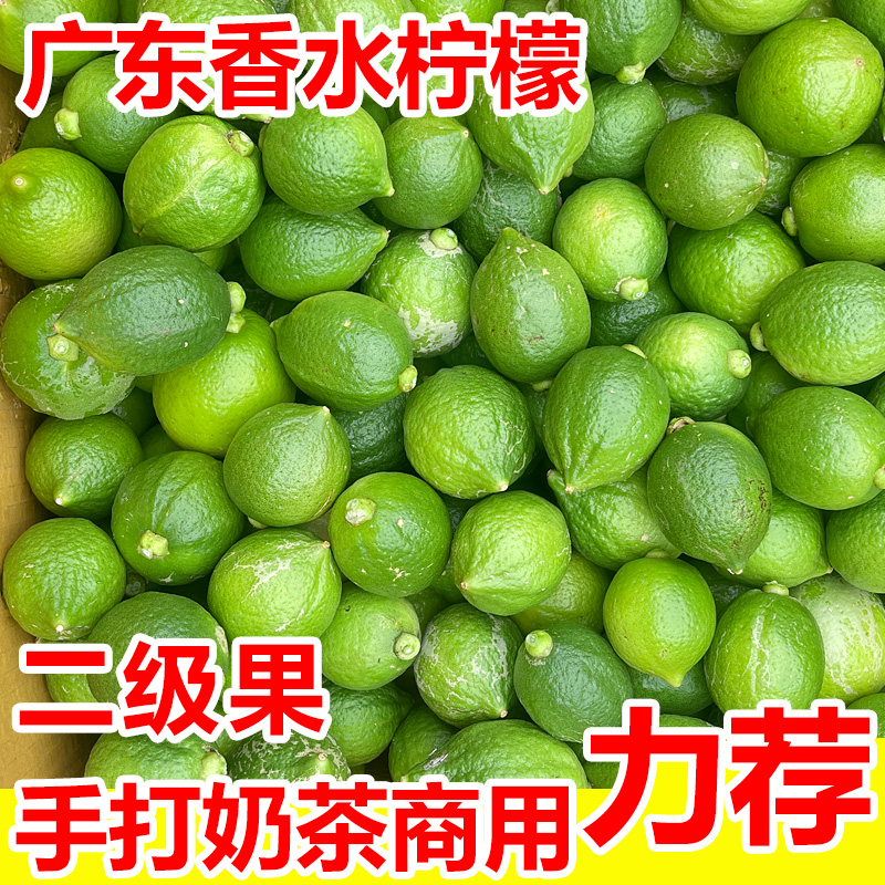 欧小甜广东无籽香水柠檬新鲜现摘奶茶店暴打柠檬茶专用香水柠檬