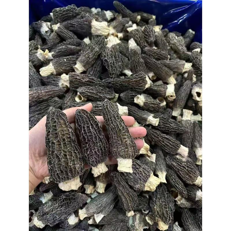 精挑好货羊肚菌100克