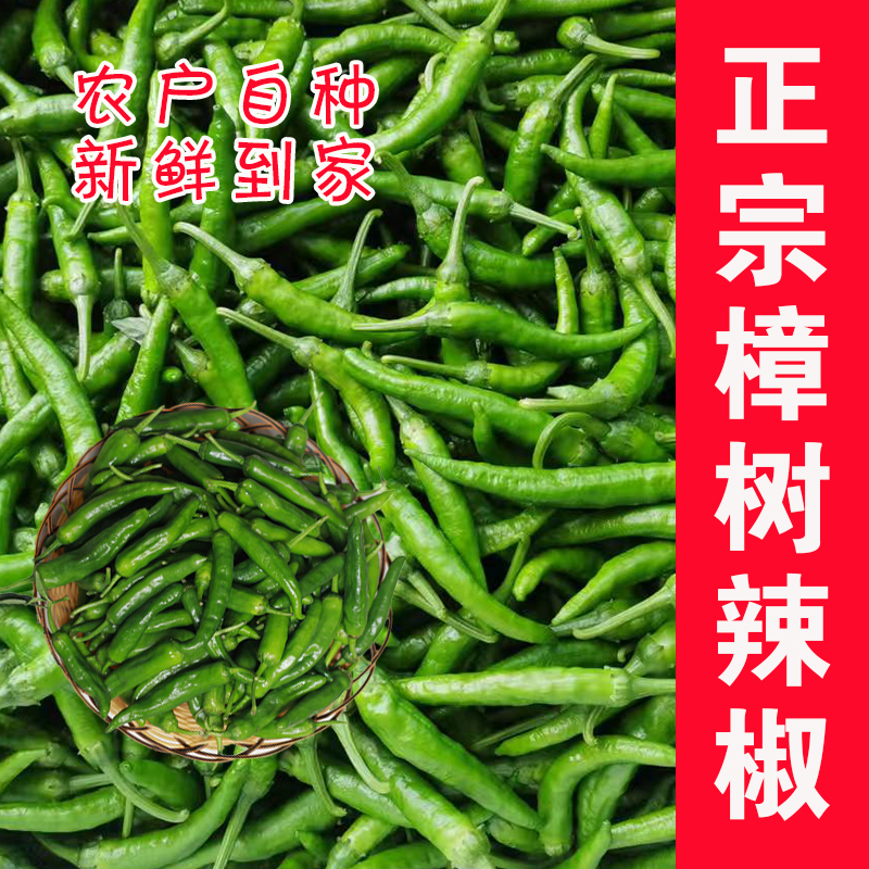 正宗湖南樟树品种小青椒产地薄皮露天现摘辣椒农家新绿色口感鲜美