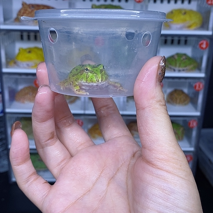 特价秒杀特价原价瑕疵