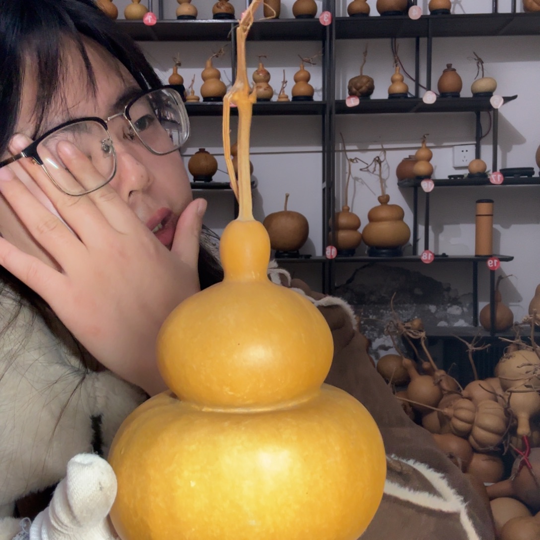 叶***师天然植物葫芦摆件