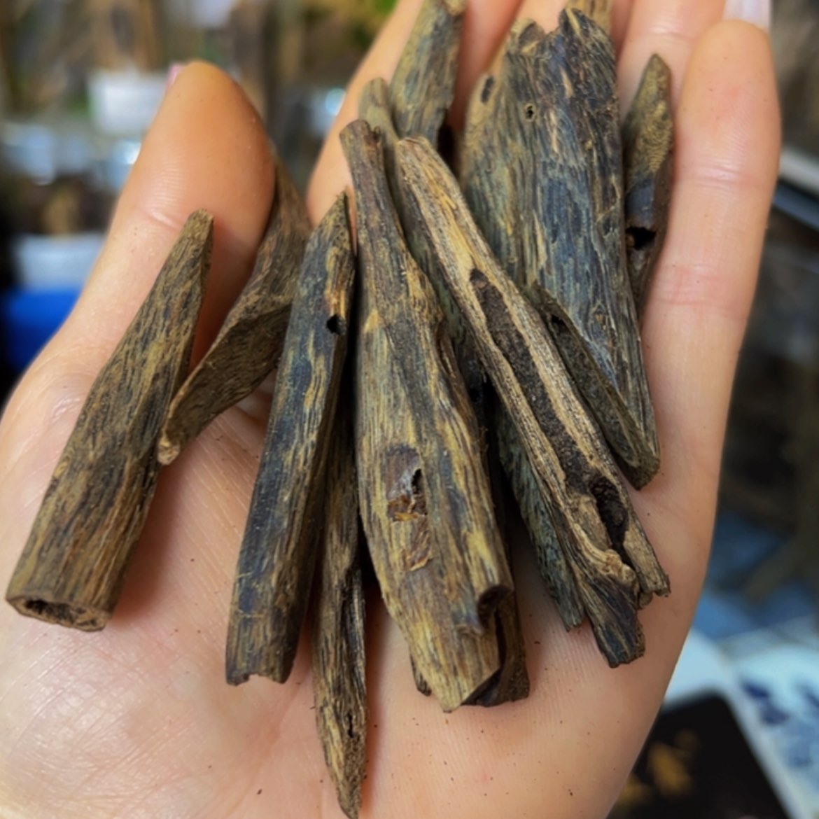 【闪购商品】手把件沉香奇楠树心虫漏醇化老料30克