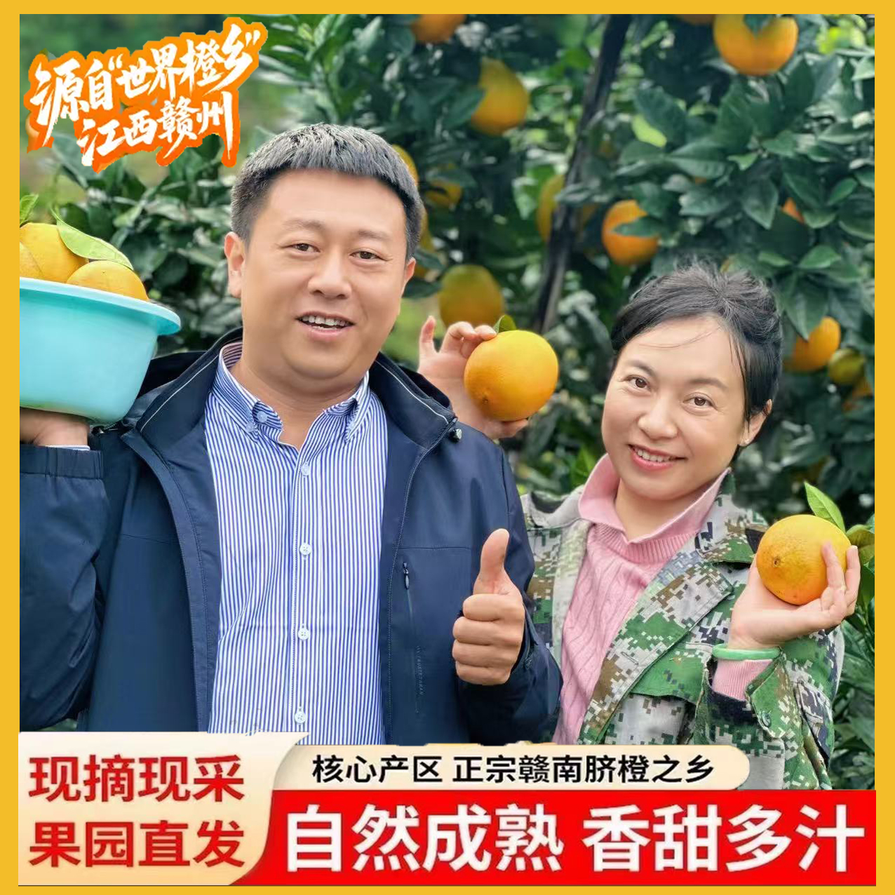 正宗高山赣南脐橙生态种植十年老树香甜多汁现摘现发