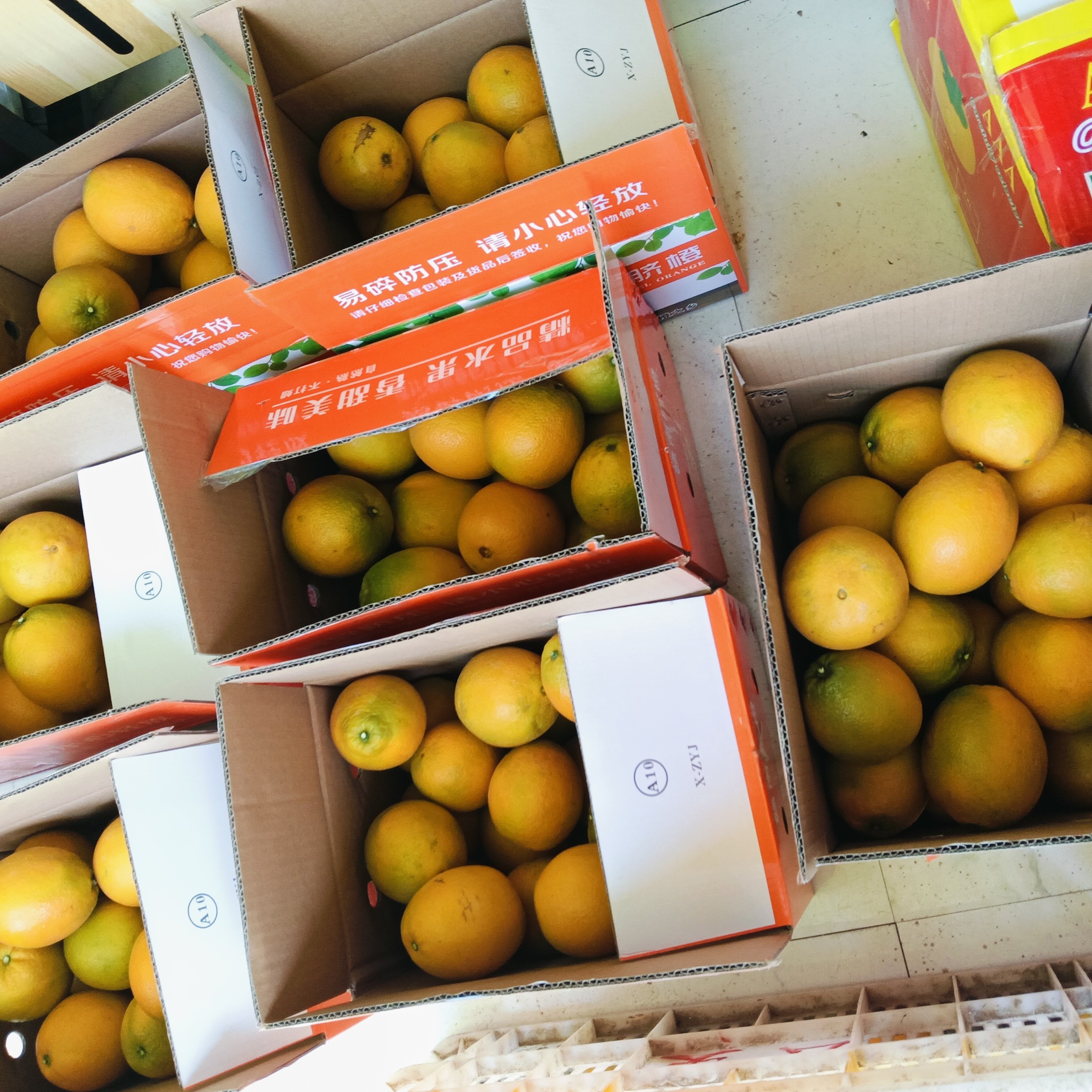 赣南脐橙江西省