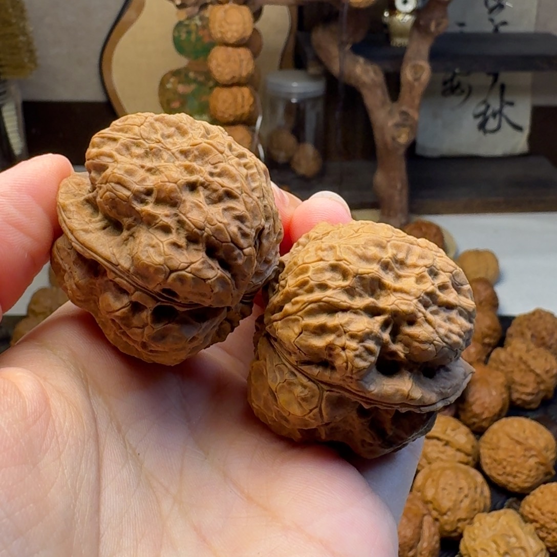 把件文玩核桃轩辕古蟾41.2