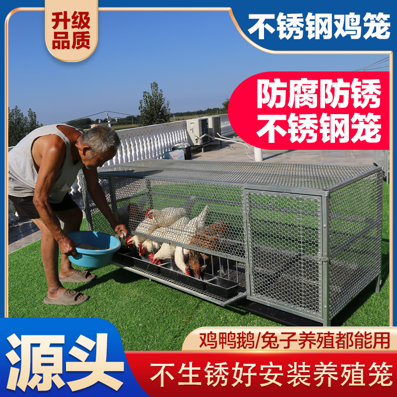 不锈钢鸡笼户外养殖鸡鸭鹅养殖笼鸡笼防黄鼠狼蛇探头吃食防腐防锈
