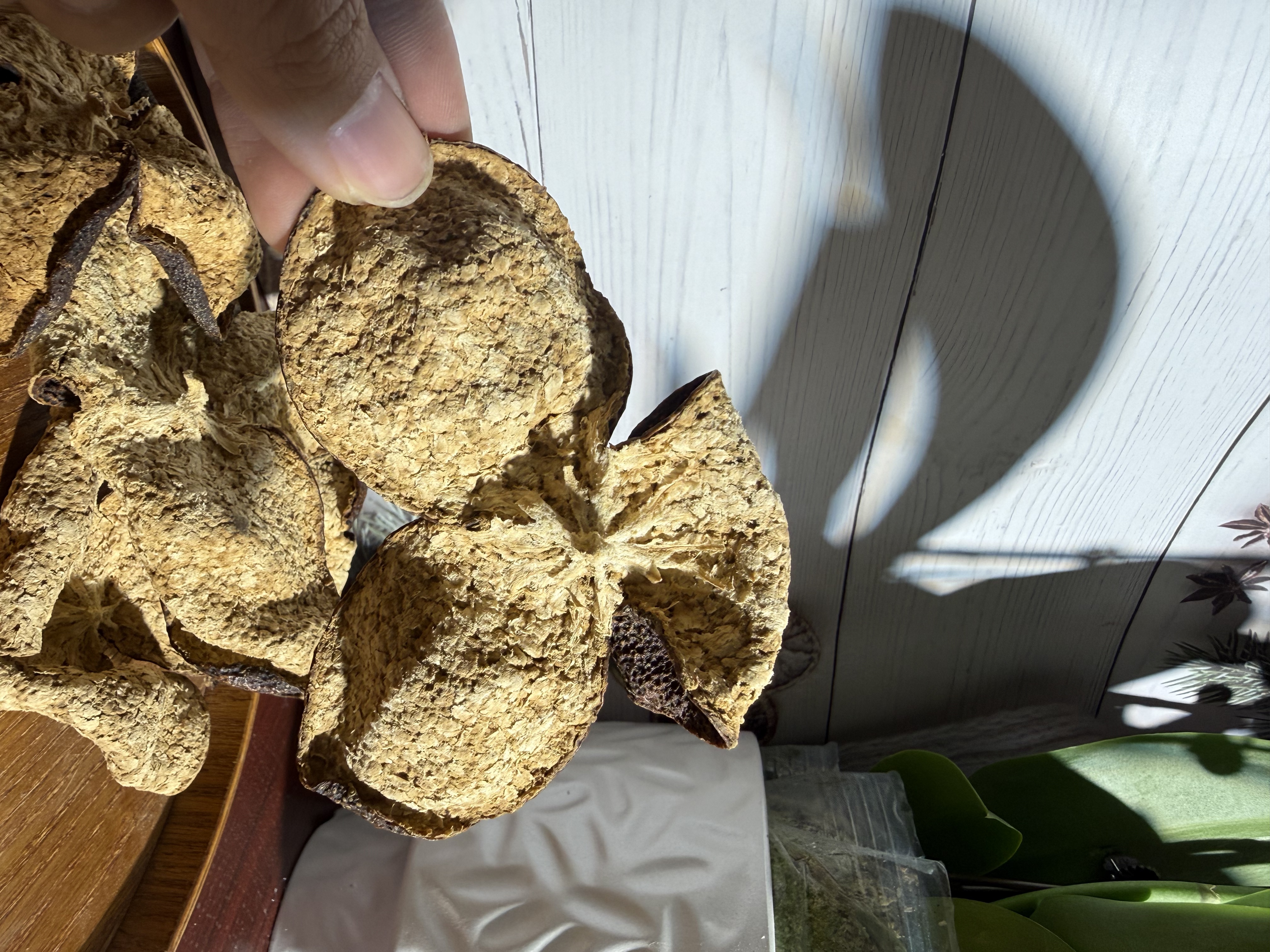 【美人鱼冬后推荐】新会生晒陈皮 2019西甲圈枝冬后皮 高货推荐