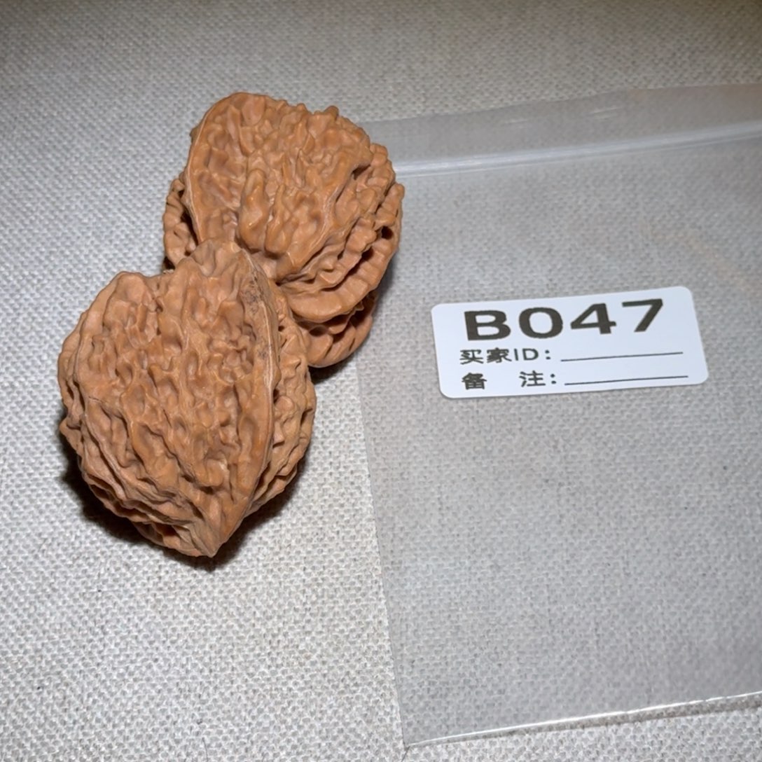 文玩核桃吊坠京巴队047