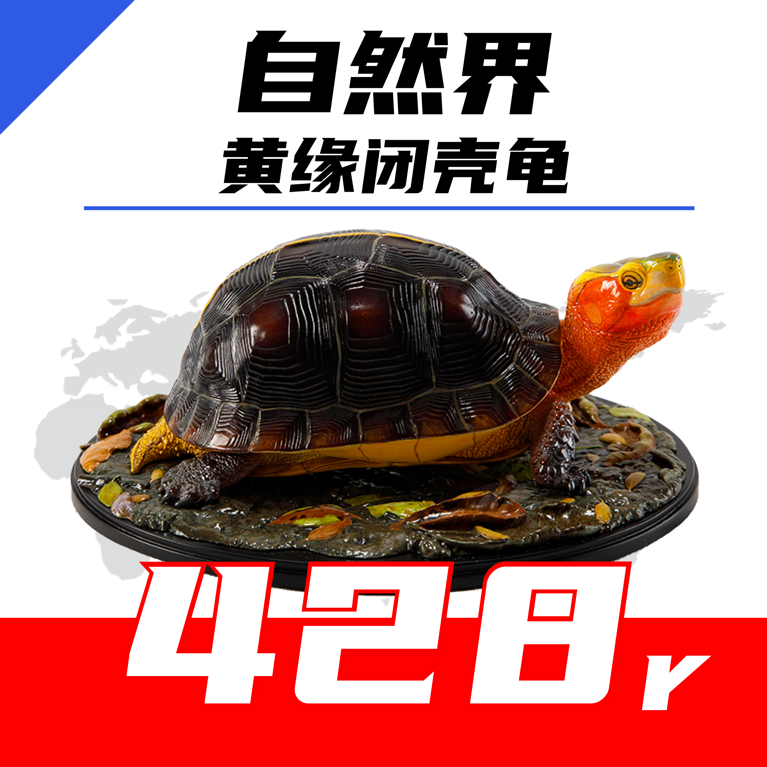 【预售第二批】动物星云 写实版自然界系列第四弹 黄缘闭壳龟手办