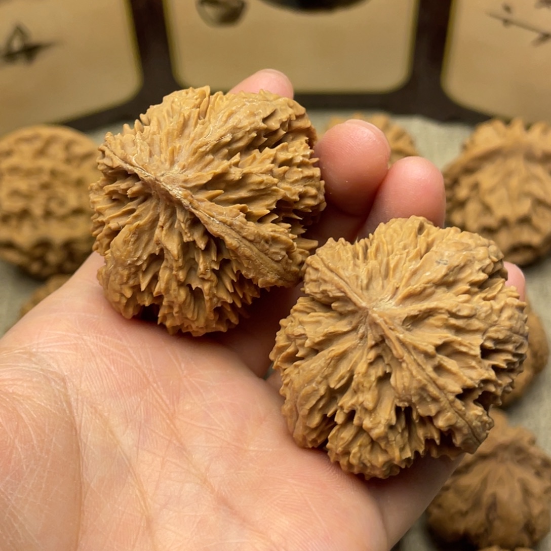 胡***杨核桃秦岭核桃17号