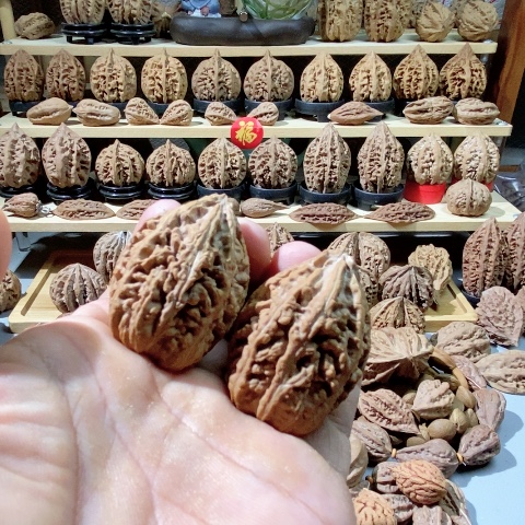 文玩核桃把件啦*啦蚂蚁塔