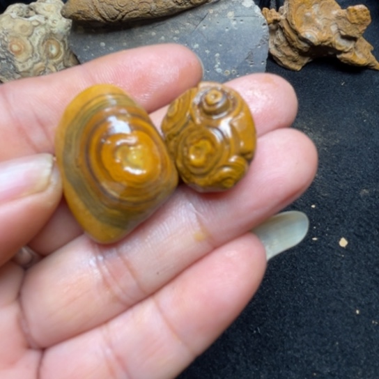 石材纯天然原石奇石92