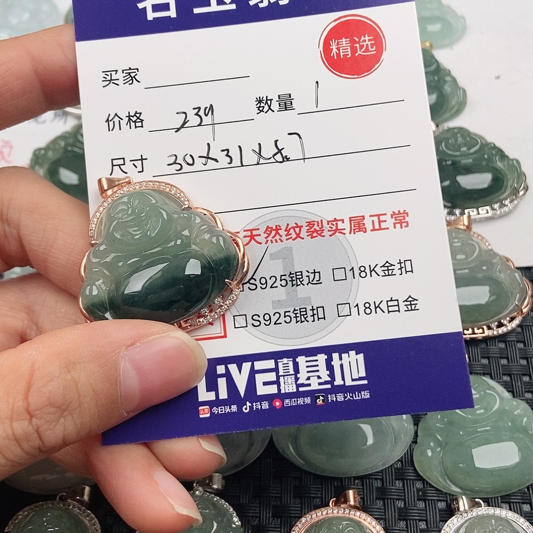 翡翠银S925镶嵌颈饰