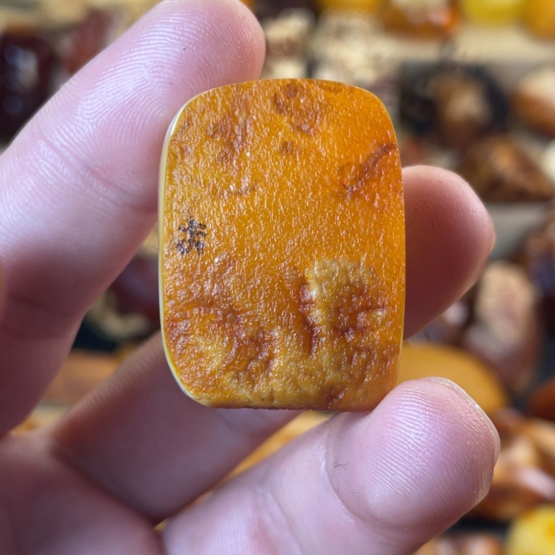 裸石琥珀未镶嵌天然蜜蜡