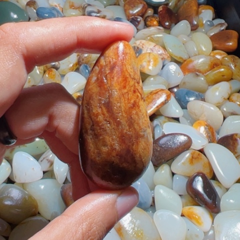 和田玉（糖玉）手链未镶嵌1