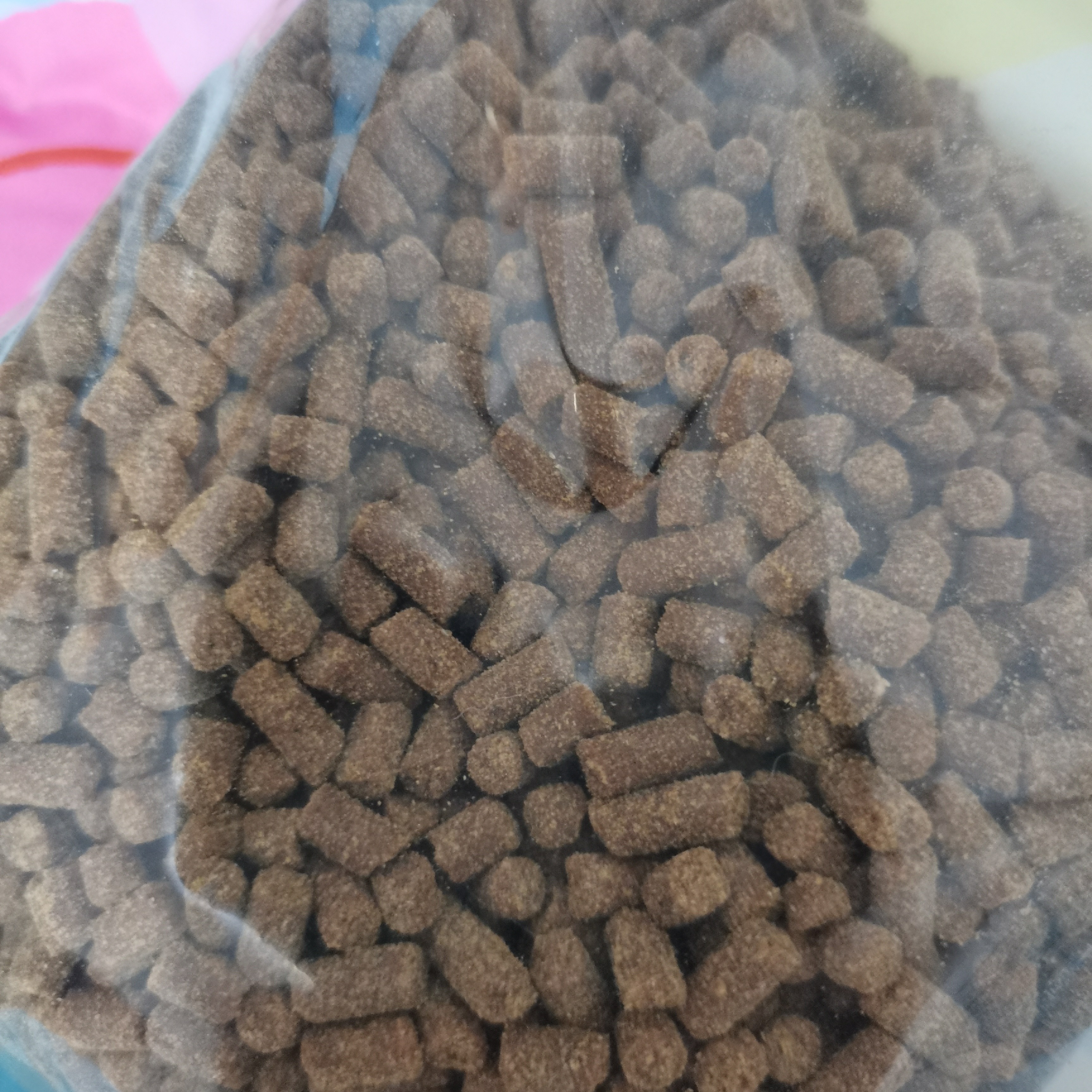 小猫咪过度粮试用装
