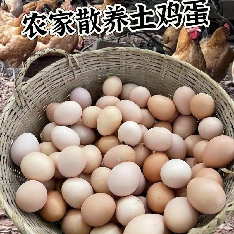 【小伟赶集】农家纯粮散养土鸡蛋（顺丰）