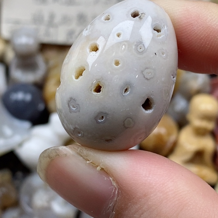 颈饰未镶嵌硅化珊瑚（珊瑚玉）