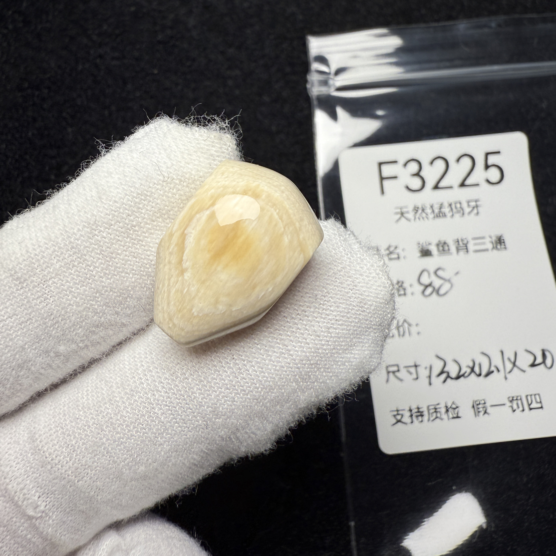 F3225天然猛犸象牙鲨鱼背三通冰料果冻料13.2*12.1*20mm
