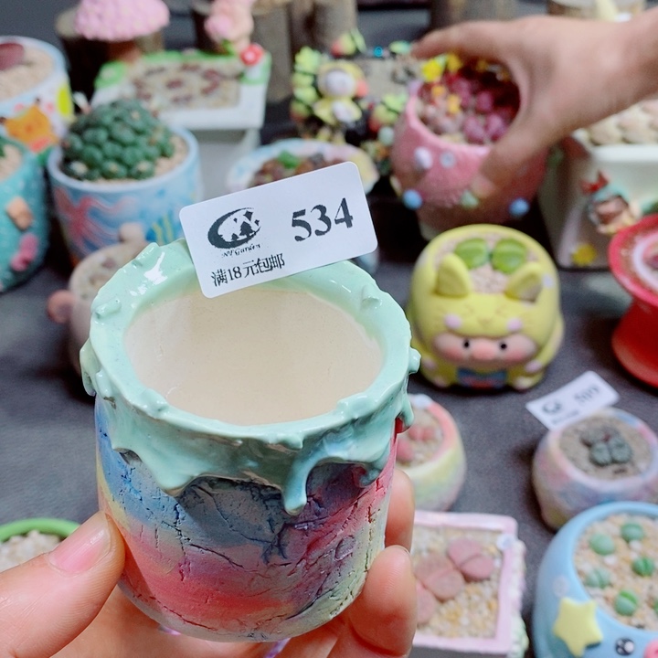 丹***生石花花花花花花花534
