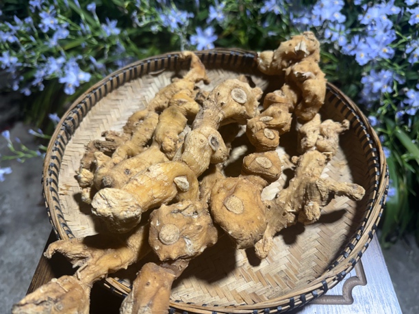 贵州山货九蒸九晒老虎姜