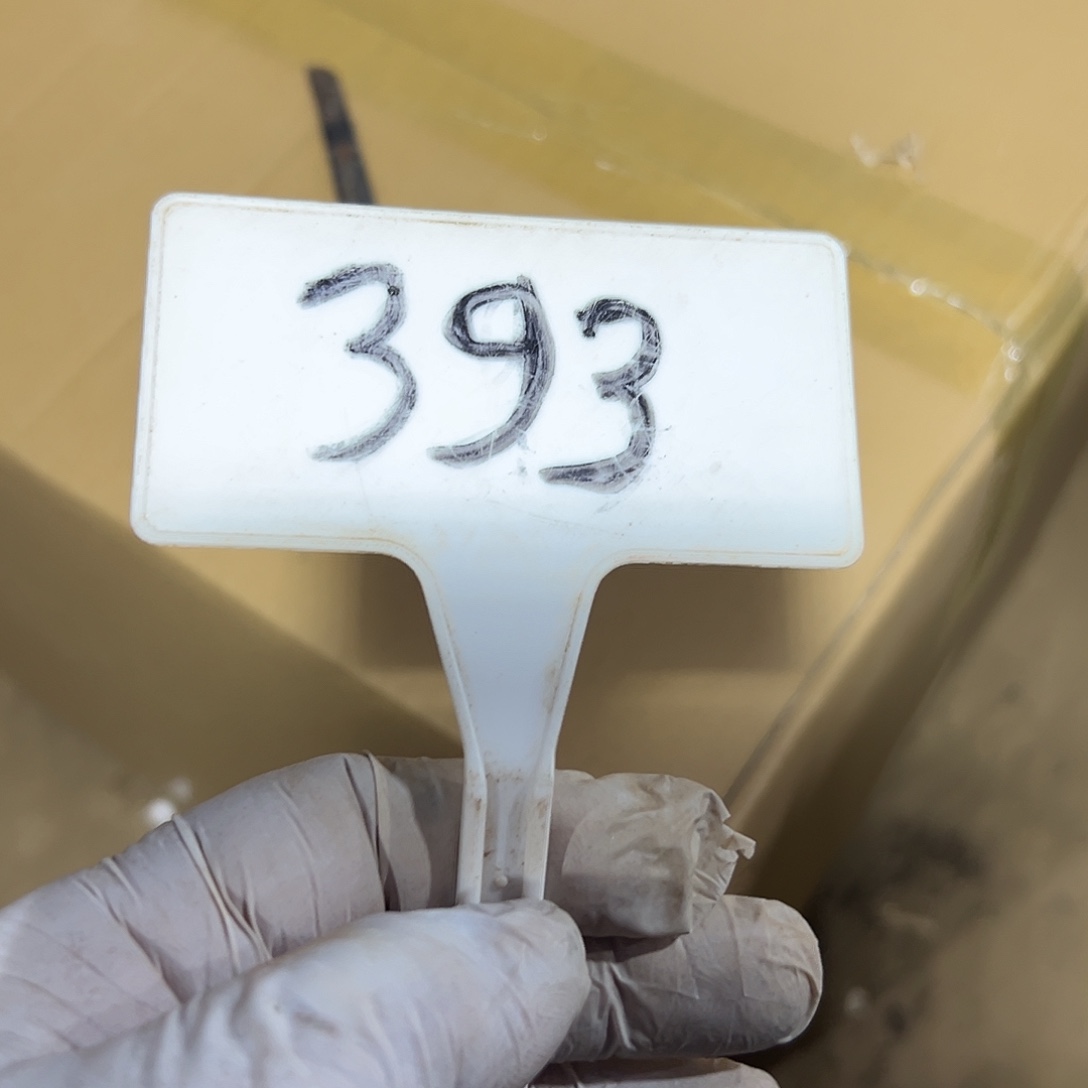 多393肉植物组合法师