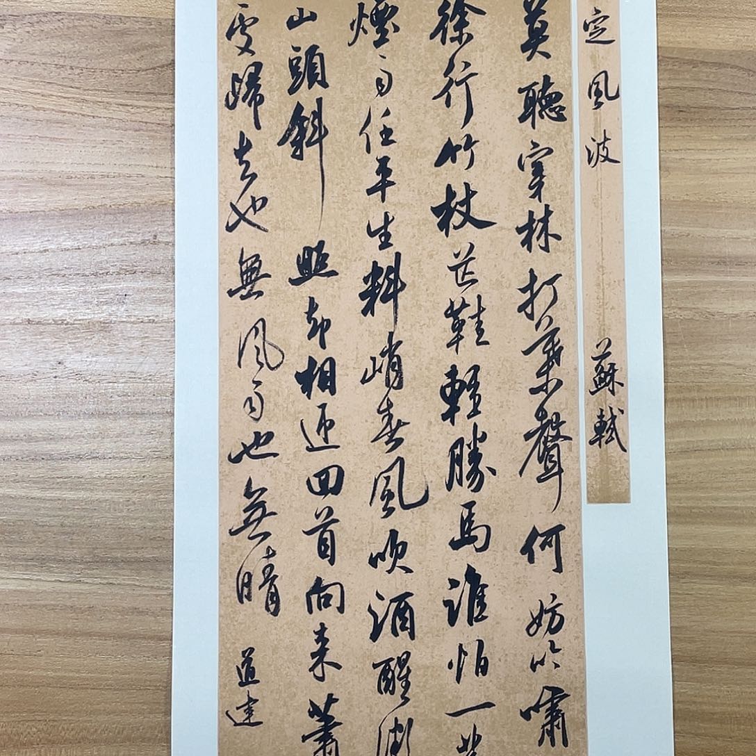 书法中书协会员作品