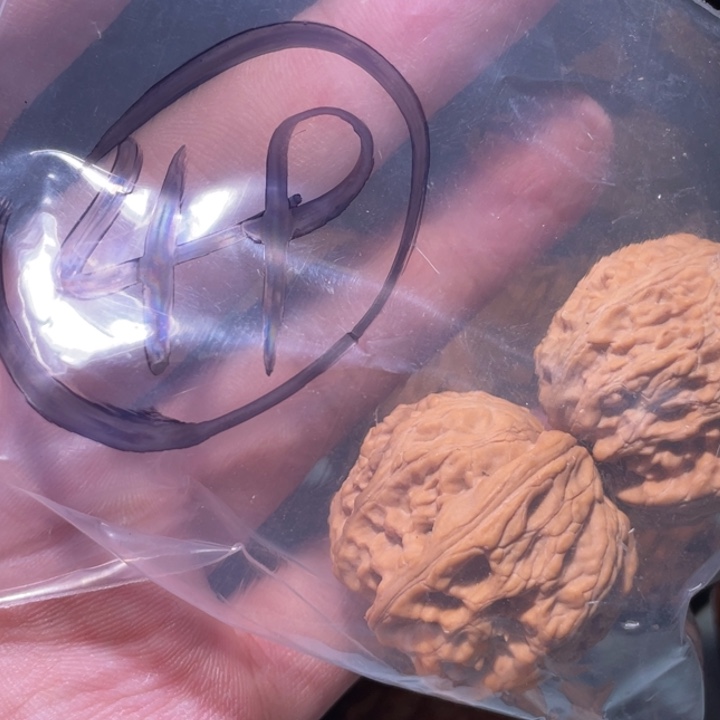 文玩核桃吊坠49呃呃呃