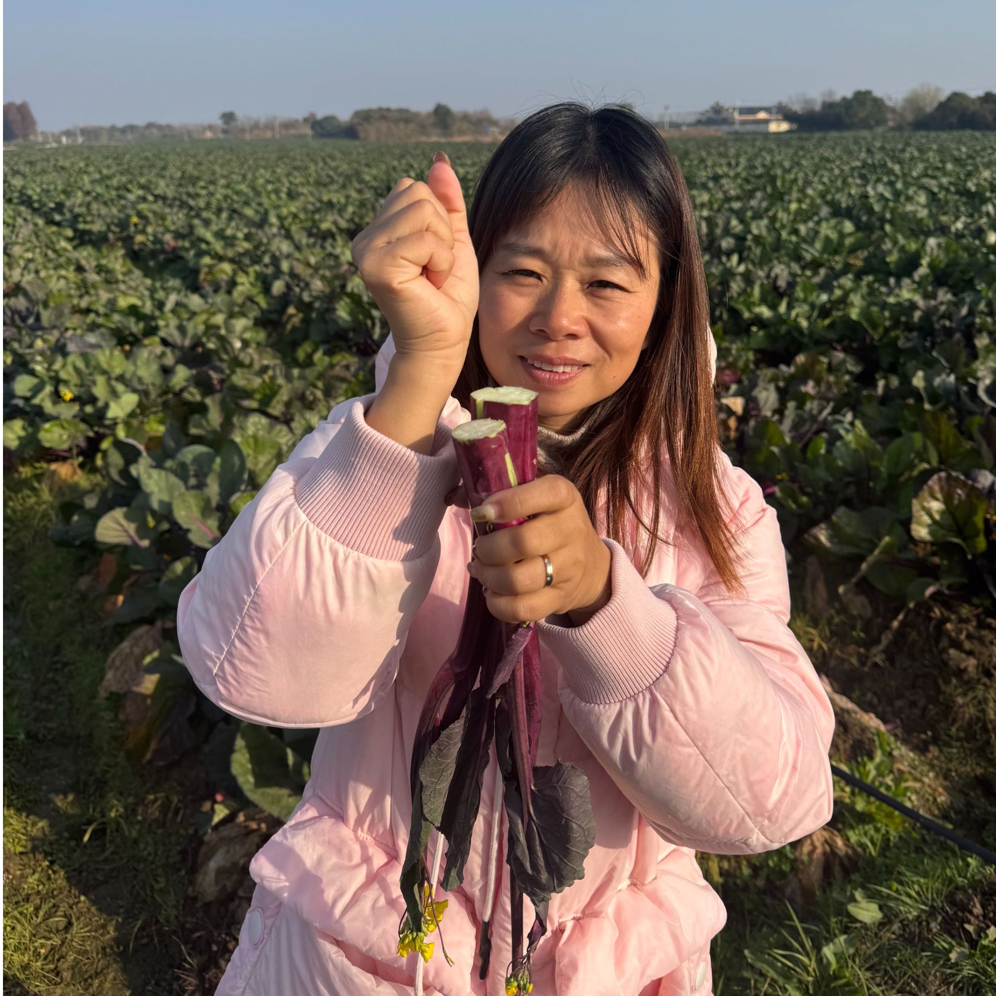 【洪山菜薹】+【腊肉】正宗洪山菜薹现摘现发