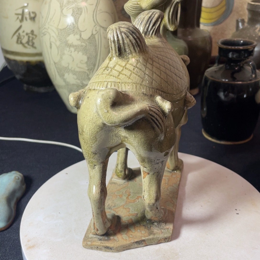 青瓷骆驼美丽无比漂亮嗯**滴