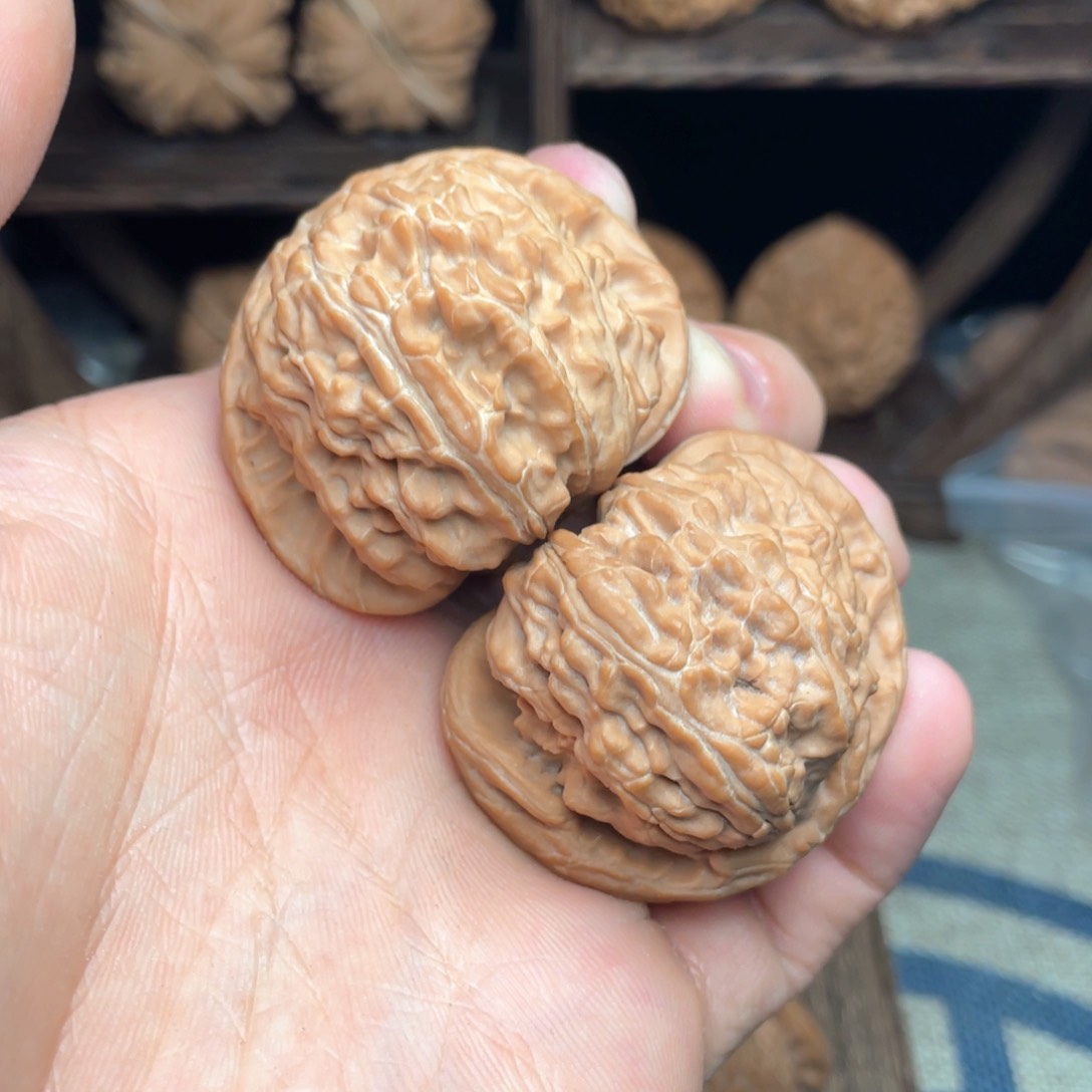 文玩核桃把件43.8边44肚毕业全品白狮子