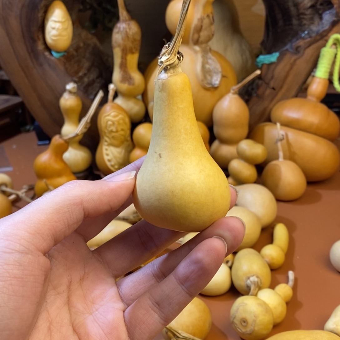 我***ꪝ教练咯路途考虑了