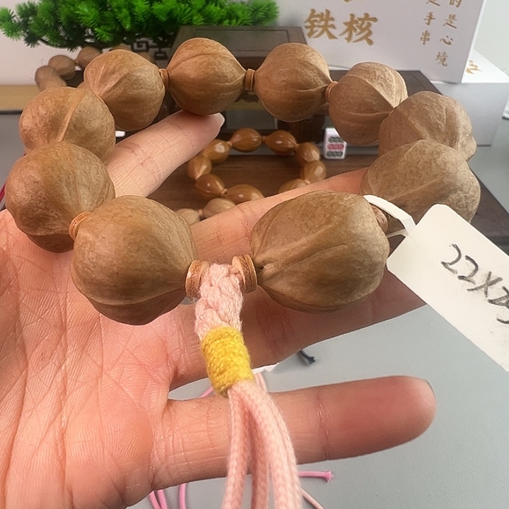 再***你木质梅林铁核素串22.25