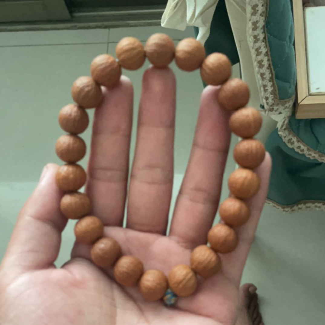 原皮原色猴头凤羽