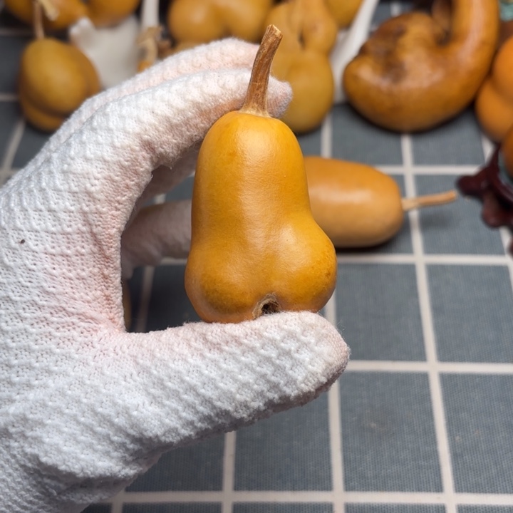 最***皮葫芦66666666666666