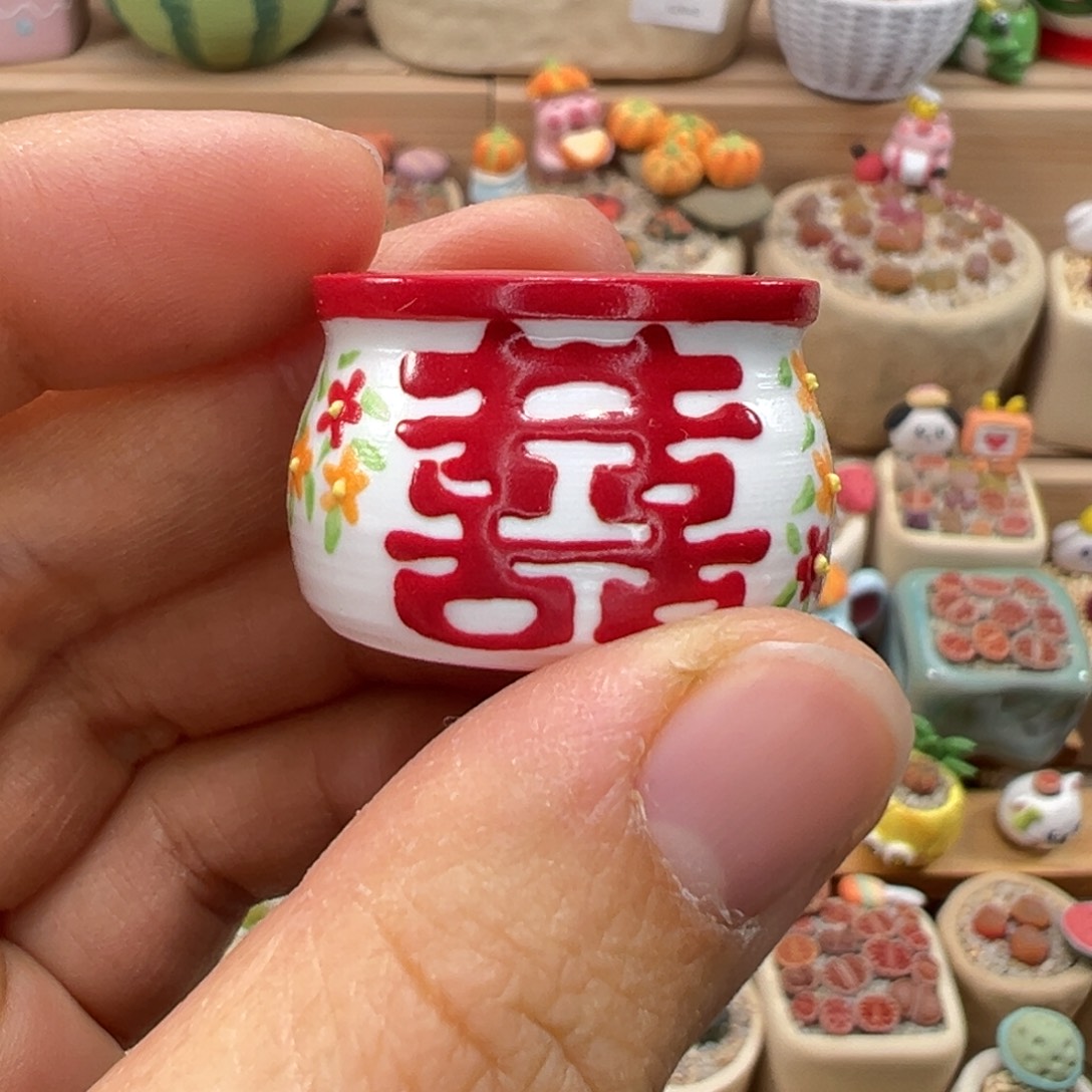 婷***宝多肉植物72号单独盆