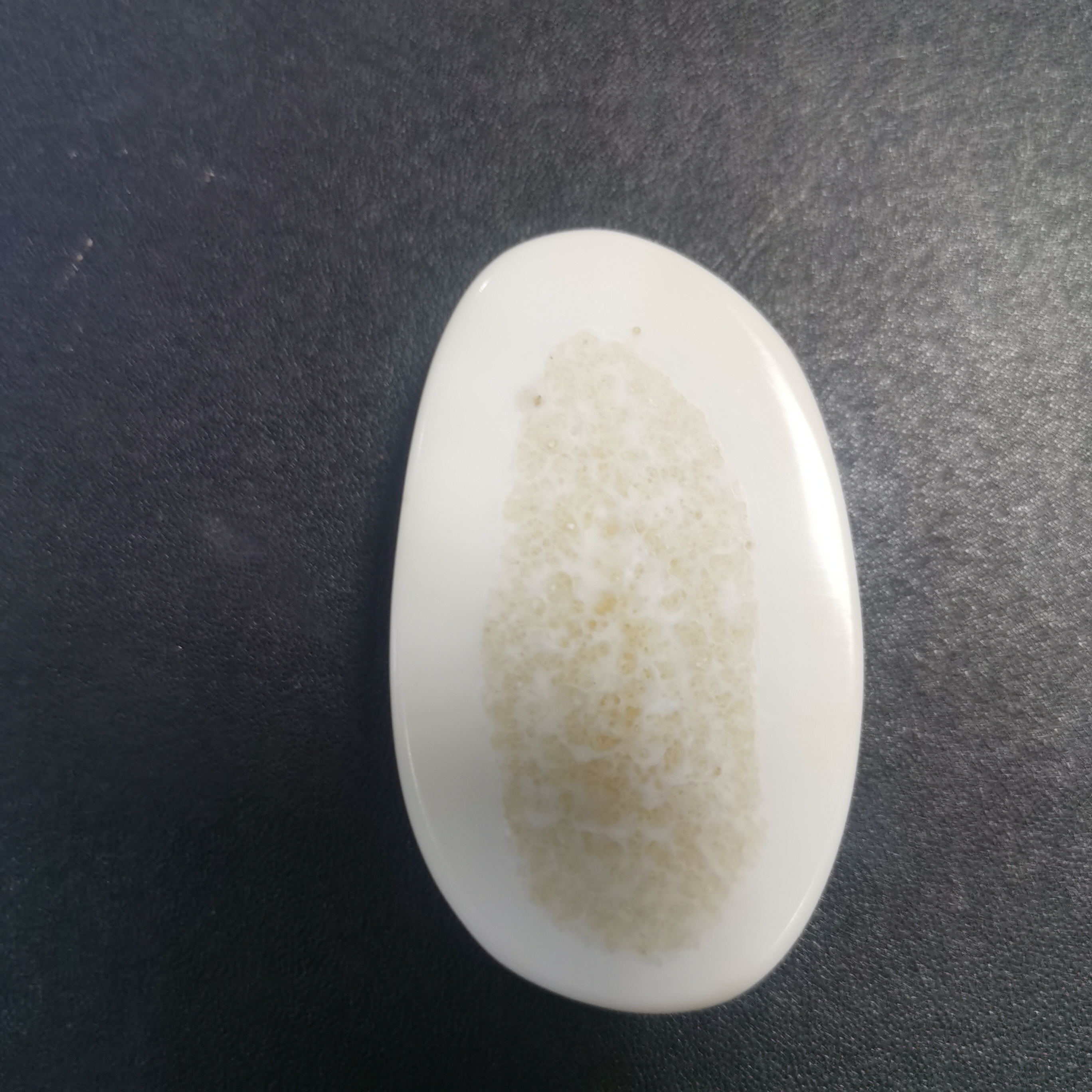 猛犸猛犸虬饼子  WT30