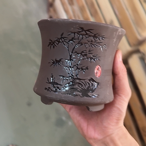 ····全是福利····
