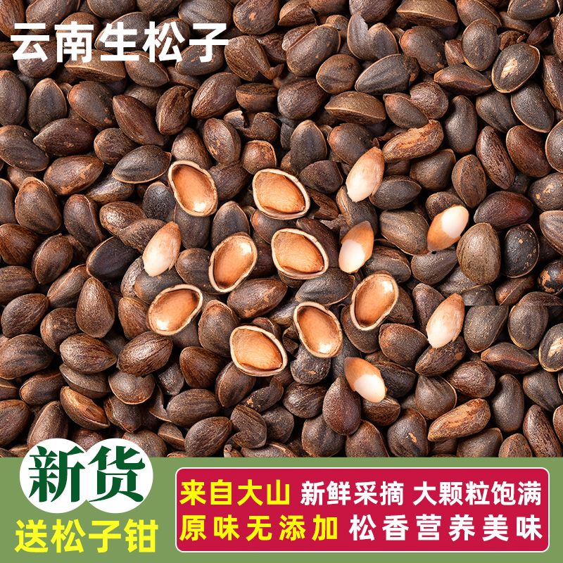 【4云南野生松子】2025新鲜薄壳原味松子饱满可生吃未加工坚果零食