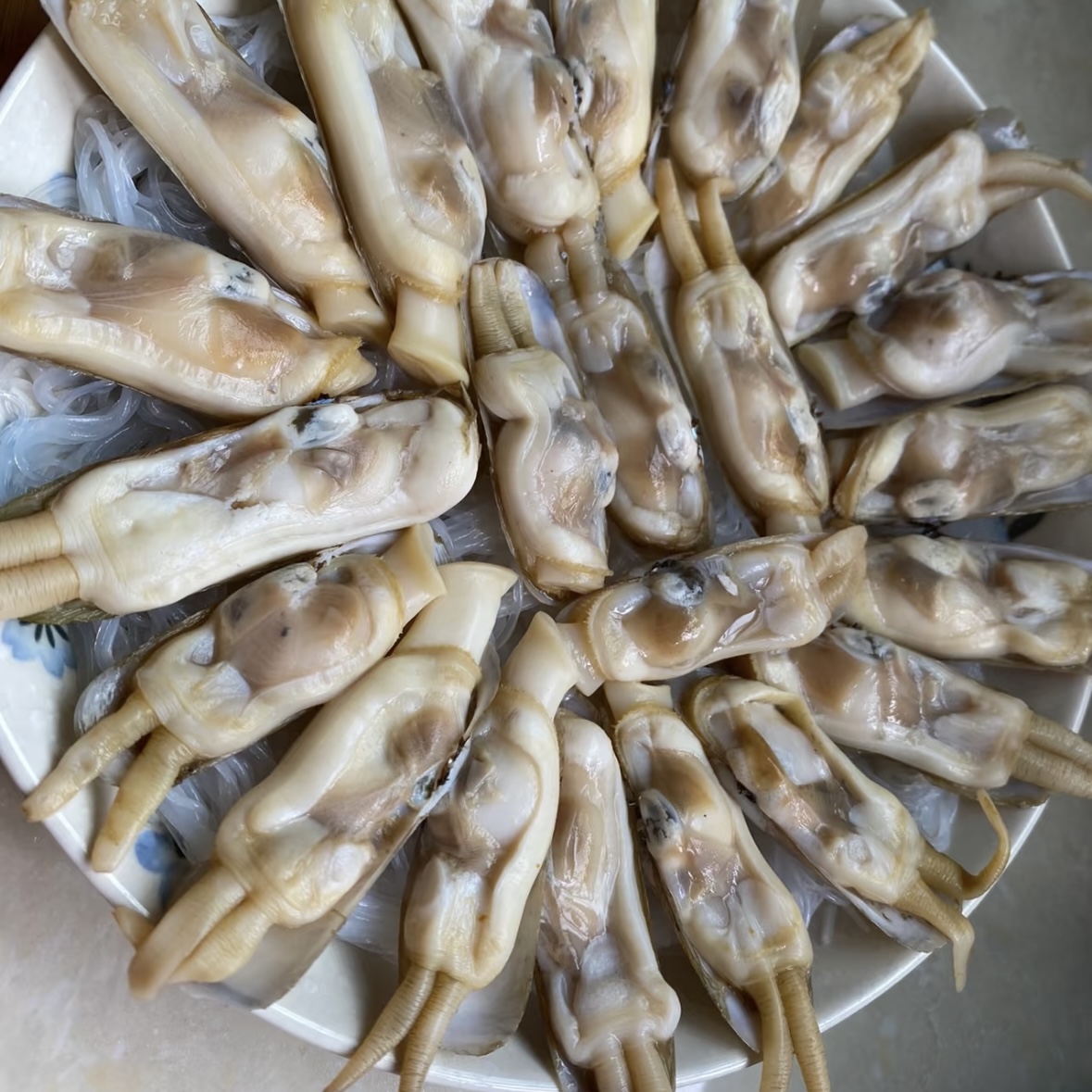 新鲜水蛏子/斤