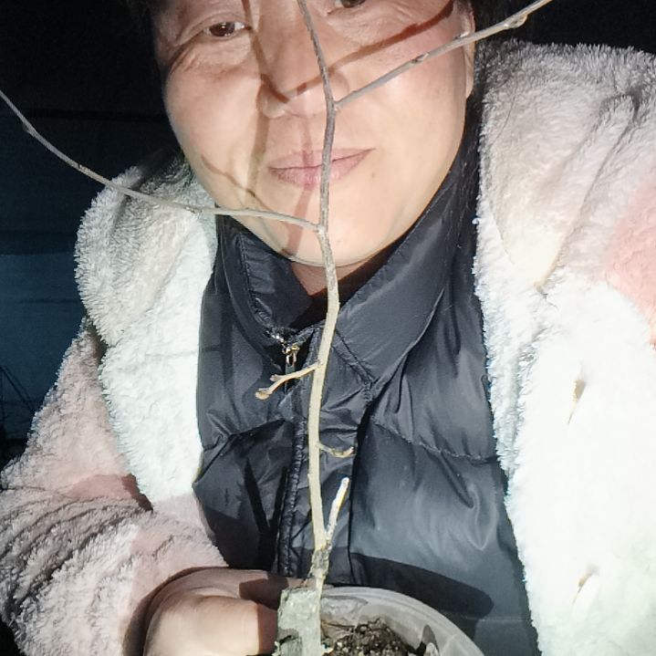 春***地无花朵12355655899