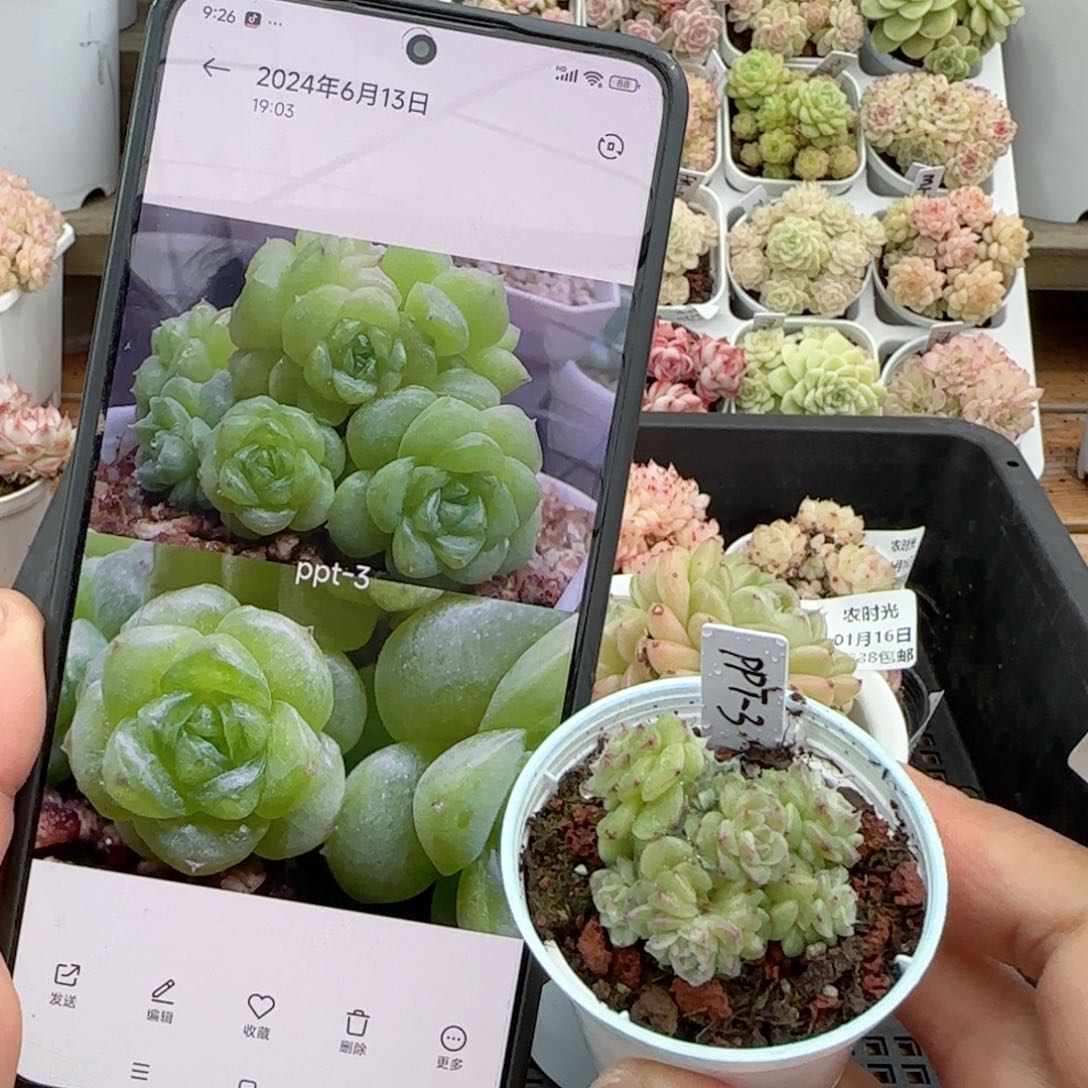 【闪购商品】0116-40（ppt-3）