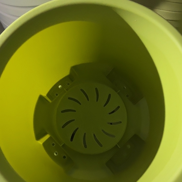 球根盆4号果绿无托5个