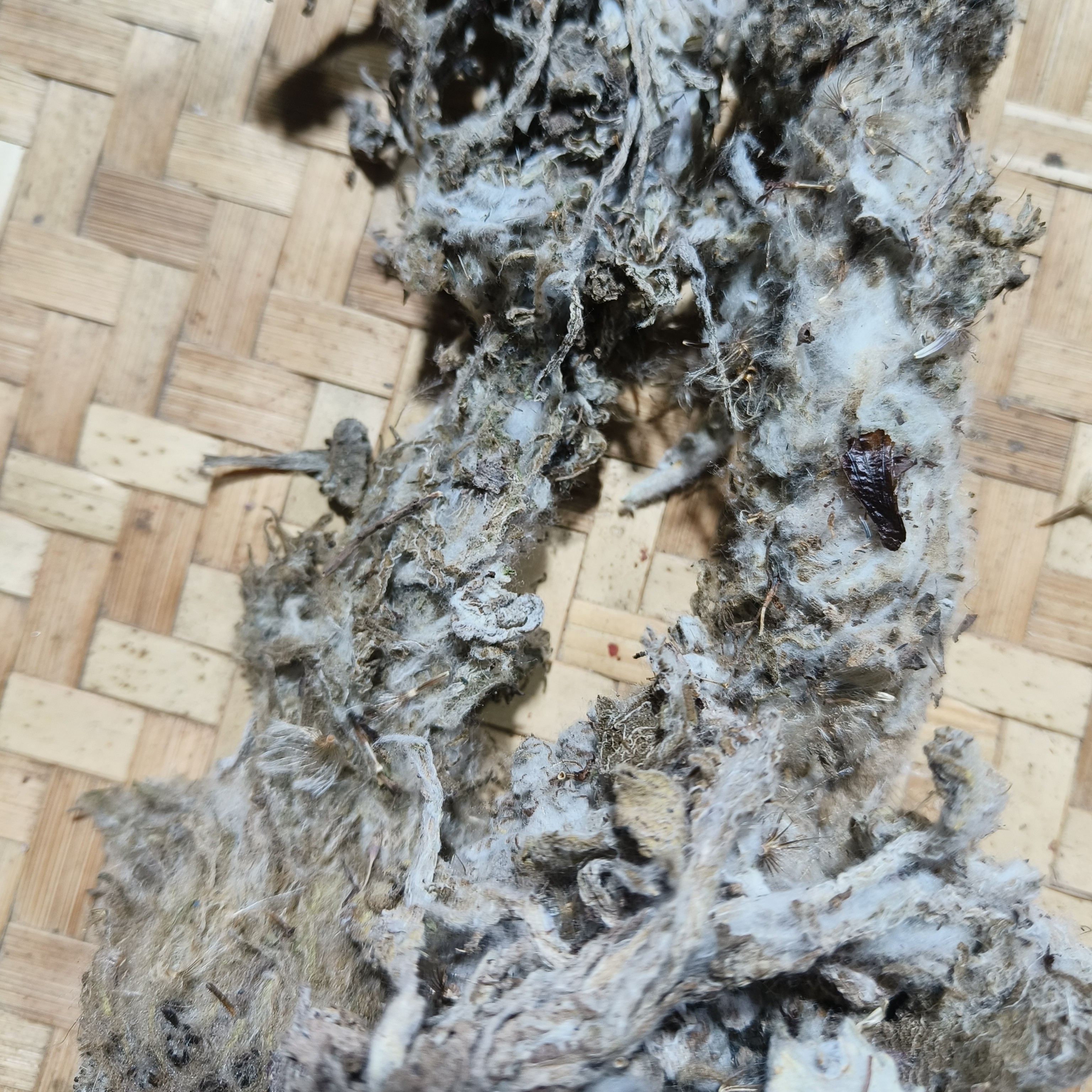 边境好物分享(雪–莲–花)土特产