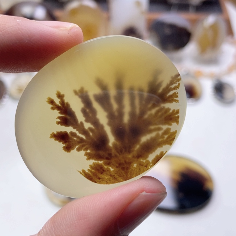 【闪购商品】玛瑙/玉髓颈饰未镶嵌