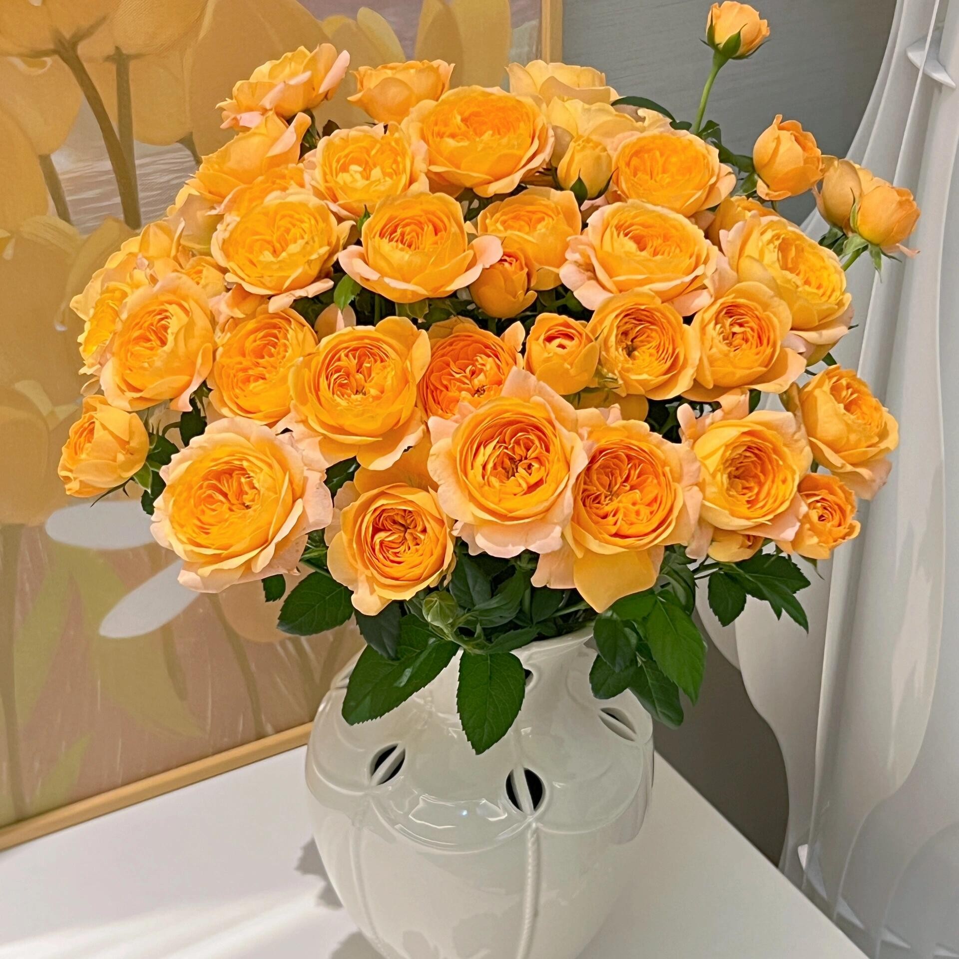 果汁阳台 花期10天左右  5枝贵港可拍 两小时内送达