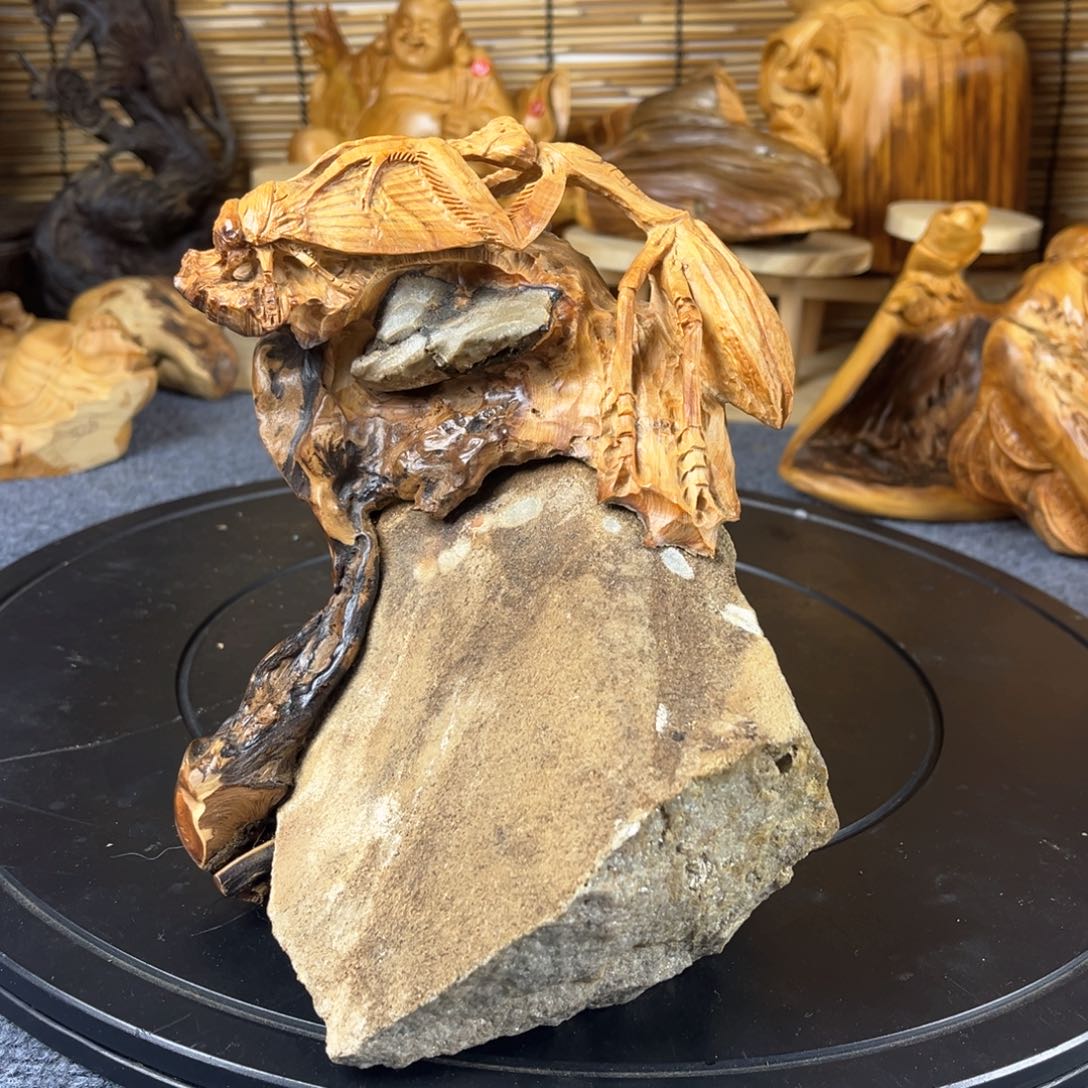 柏木崖柏崖柏崖柏